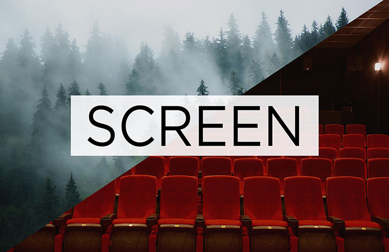 Screen