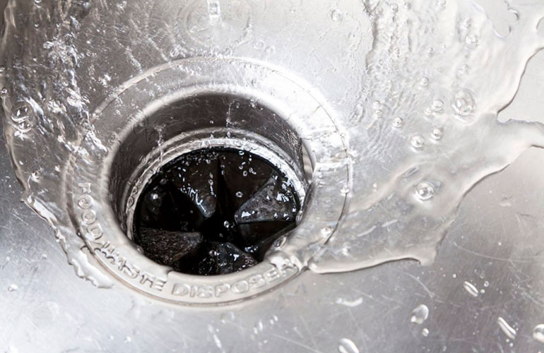 Garbage disposal: Use lemon for a fresh scent