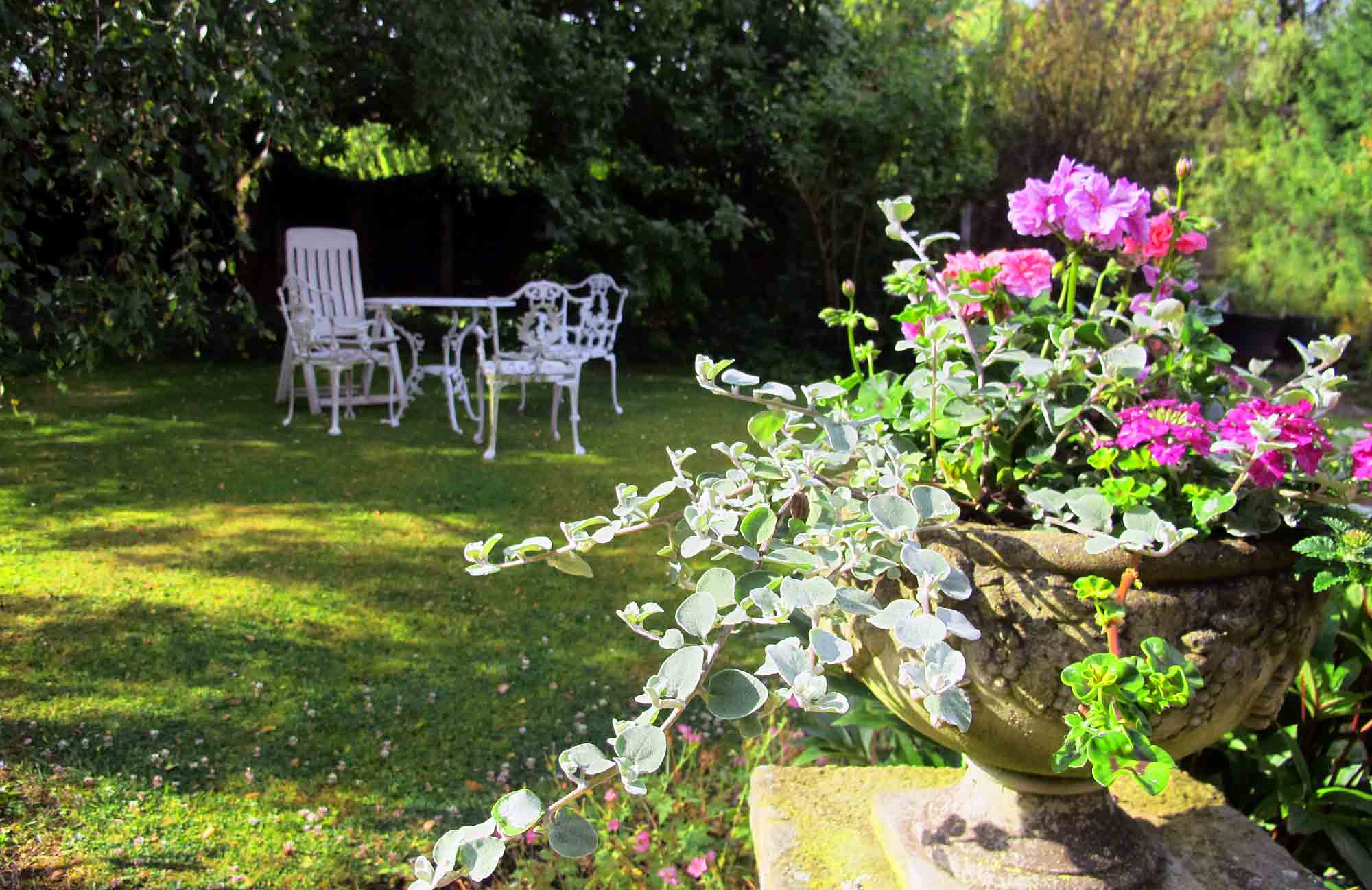 Don’t give up on shady areas