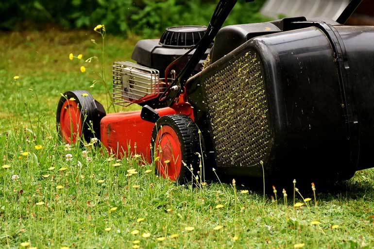 Don’t cut grass too short