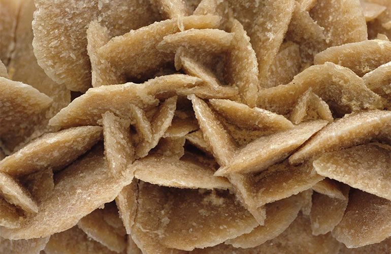 Desert roses