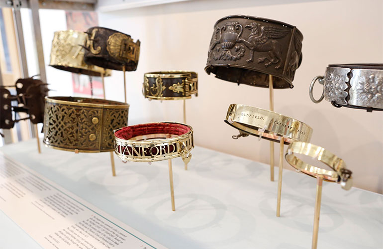 The Dog Collar Museum