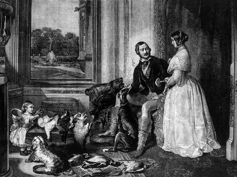 Queen Victoria proposed to her husband