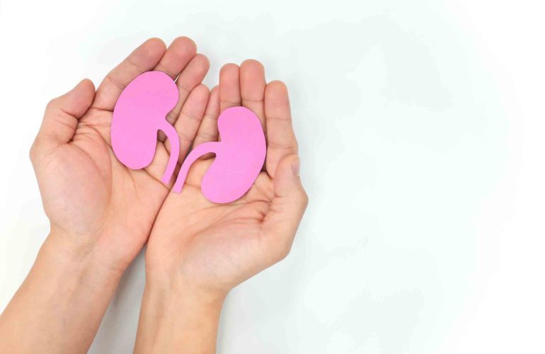 One Kidney, Three Lives