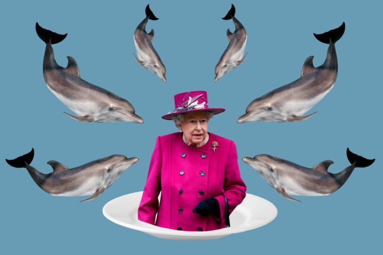 Ownership of fish