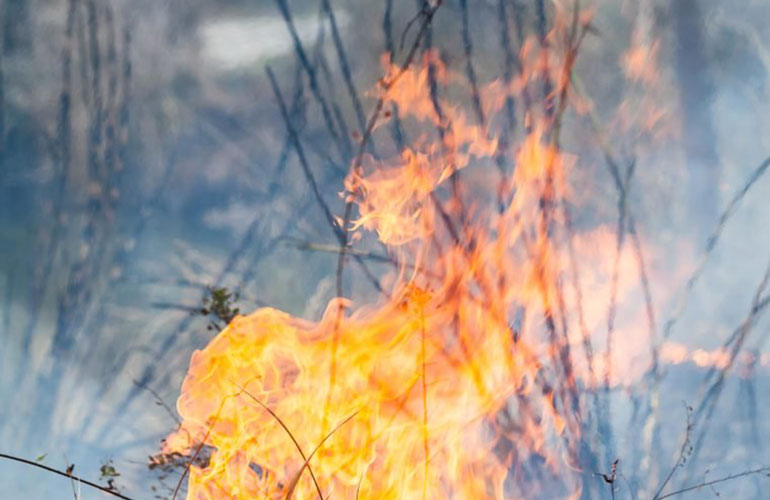 Human spontaneous combustion?
