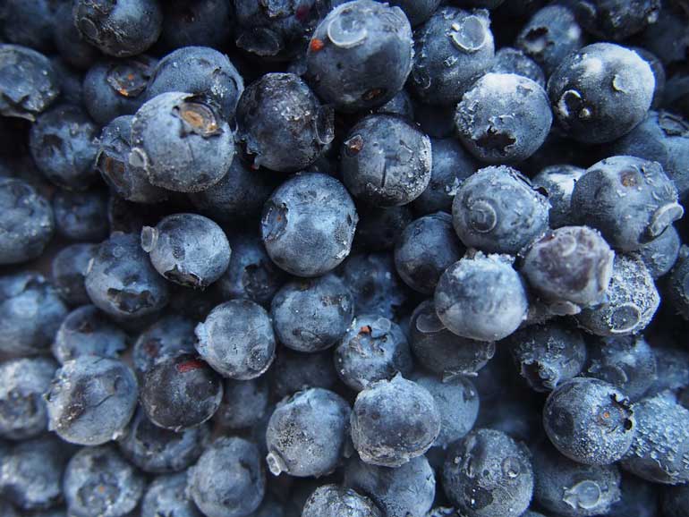 Sprinkle 1/2 cup of blueberries on your cereal