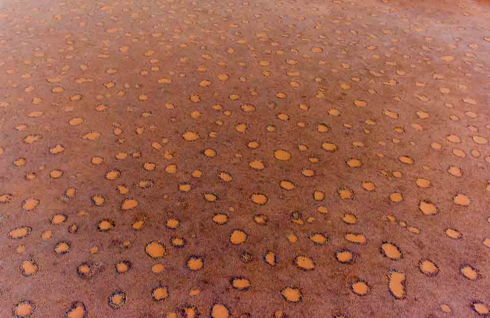 Fairy Circles of Namibia