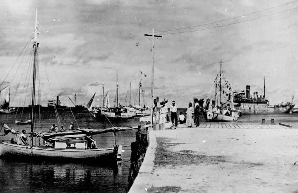 Amelia Earhart didn’t die in a plane crash