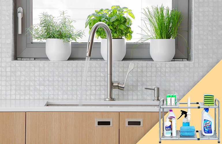 Under the kitchen sink