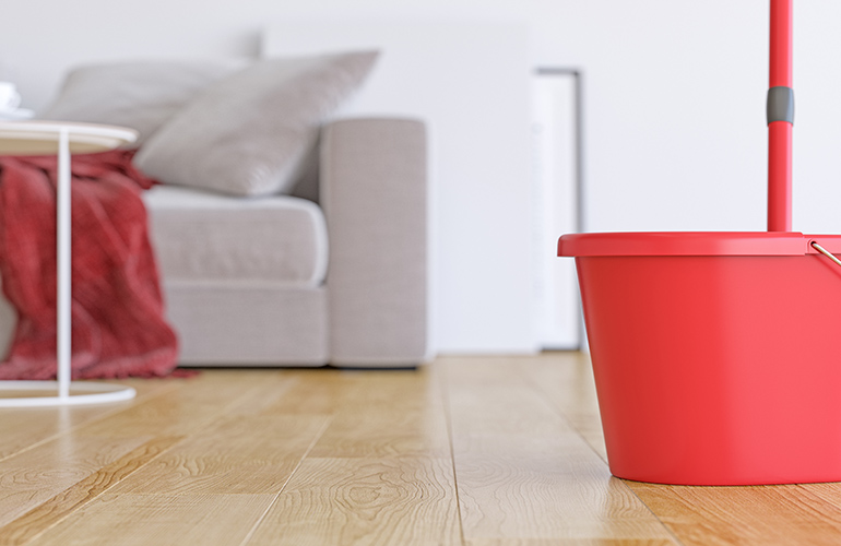 Hardwood and laminate floors