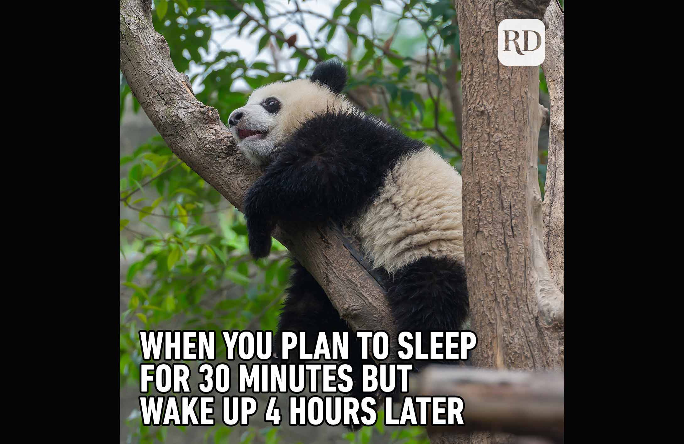 Overslept