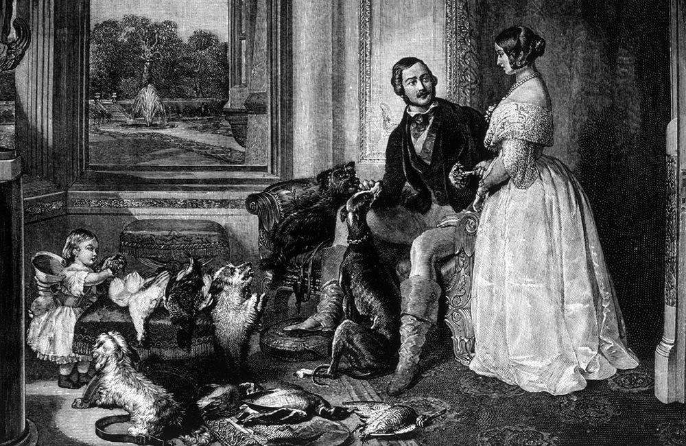 What really killed Prince Albert?