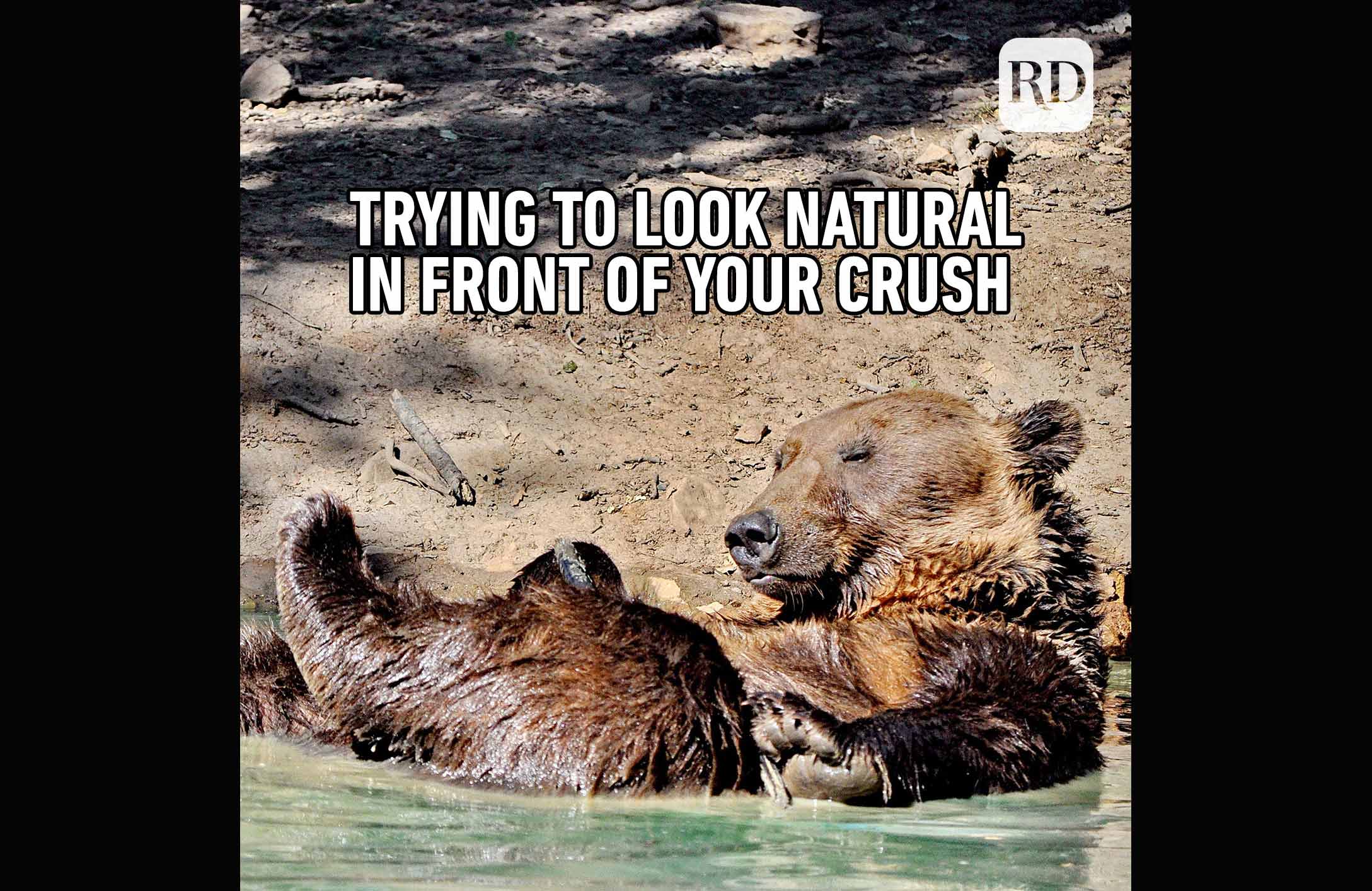 Love is near