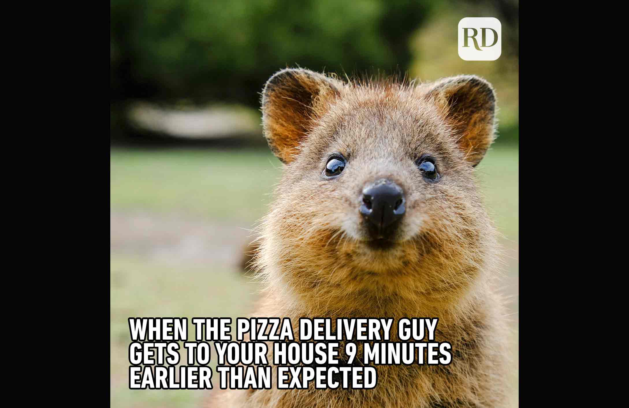 Pizza’s here