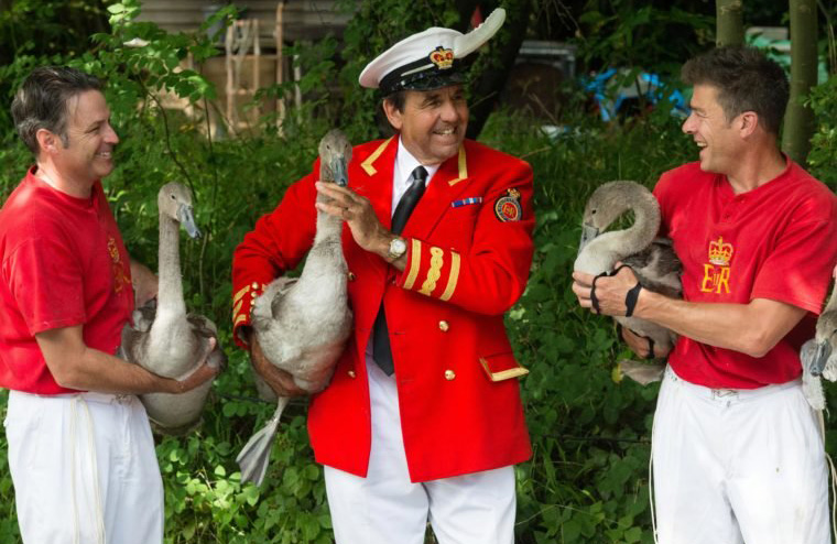 Warden of the Swans and Marker of the Swans