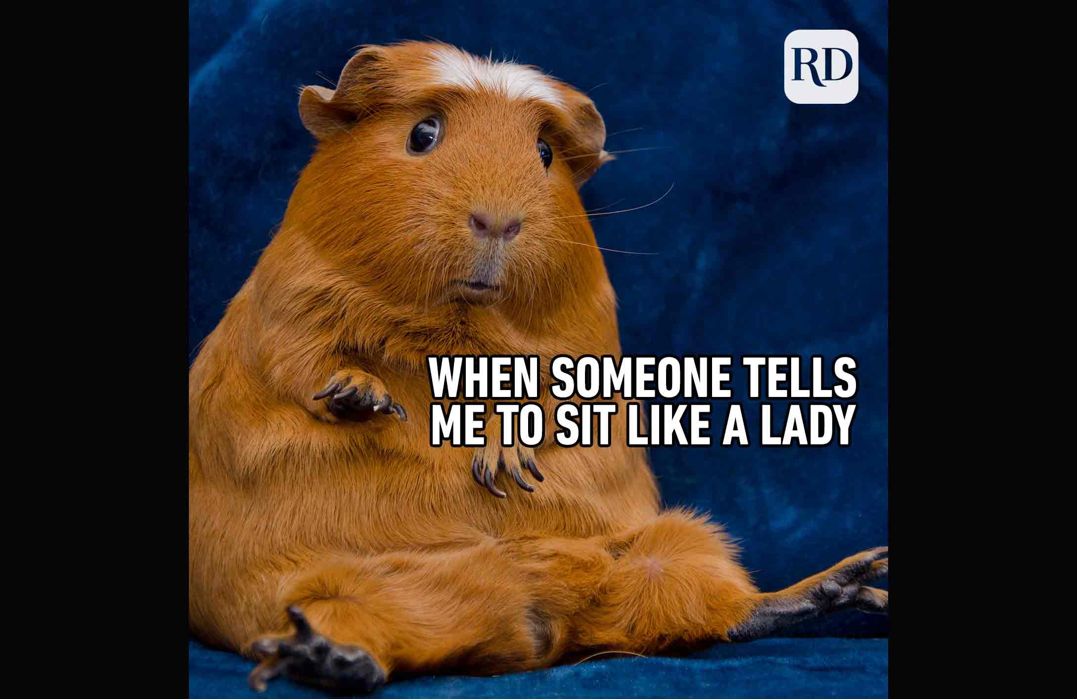 Posture!