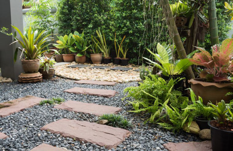 Get reacquainted with your green thumb