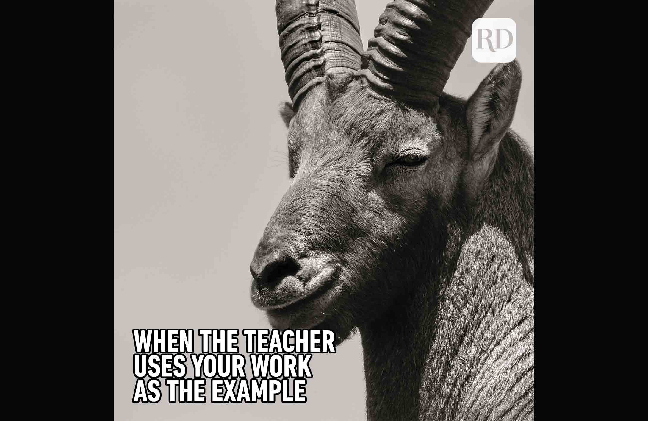 A+ student