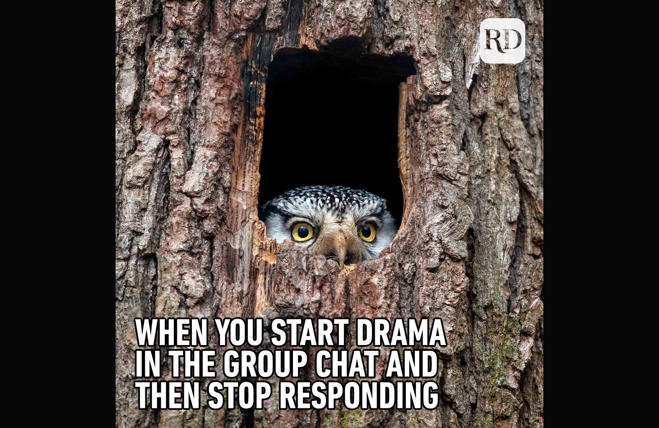 Drama alert