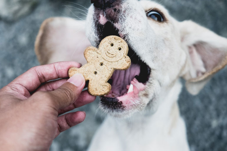 Limit treats