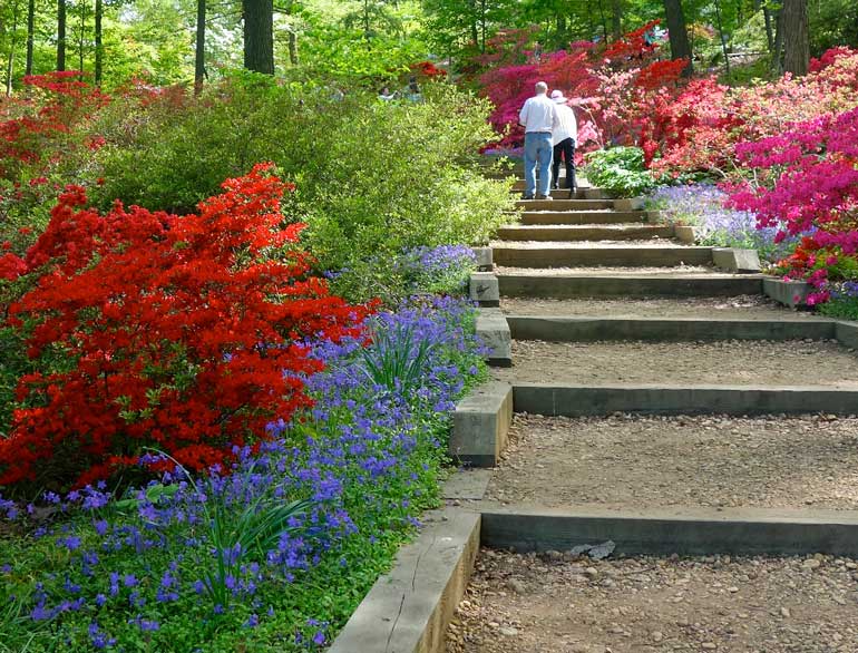 Go to the botanical gardens