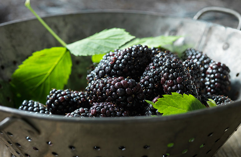 Blackberry tea for diarrhoea