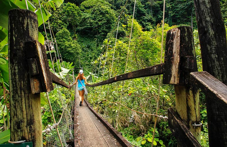 Go forest bathing
