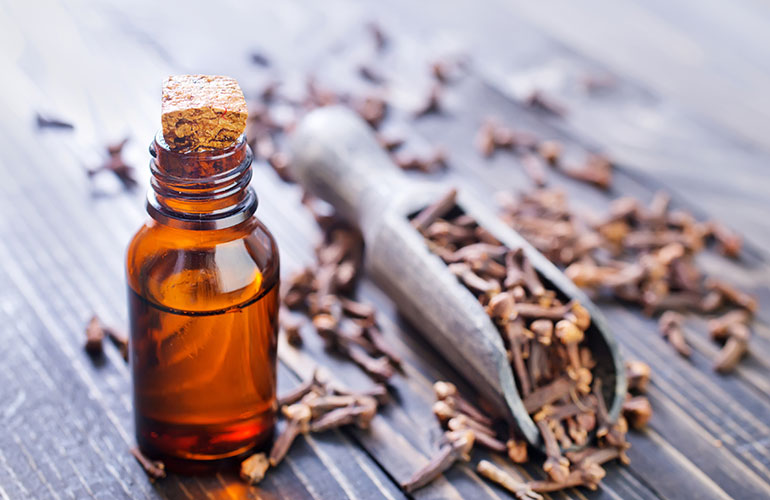 Clove oil for tooth and gum pain
