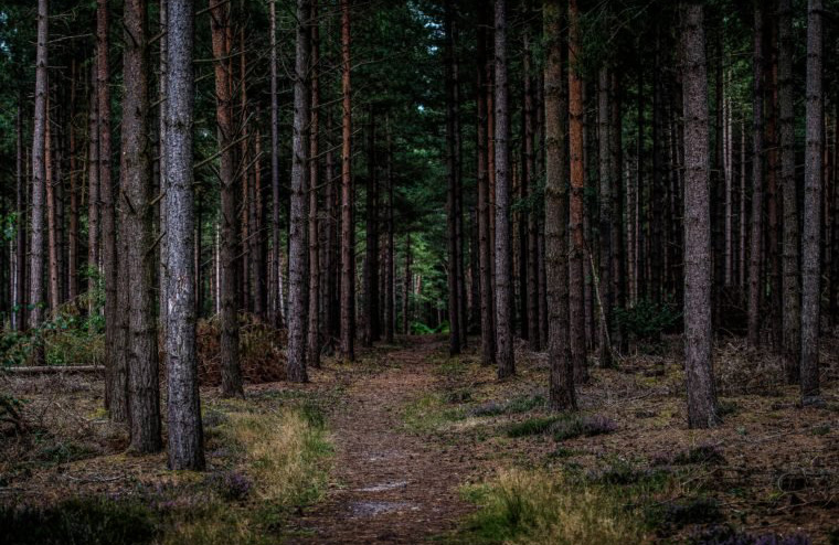The Rendlesham Forest Incident