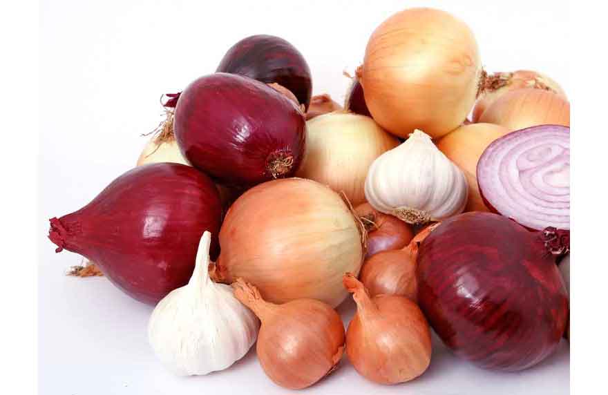 Onion