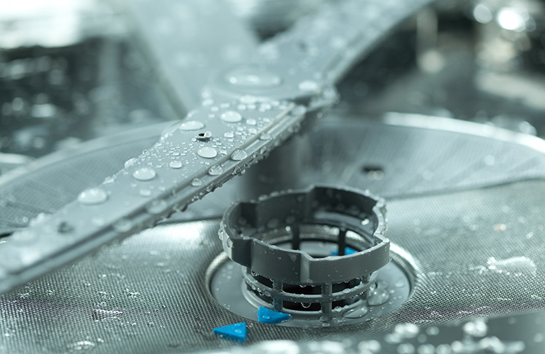 Clean out your dishwasher drain