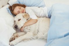 These 11 super-affectionate dog breeds love to cuddle