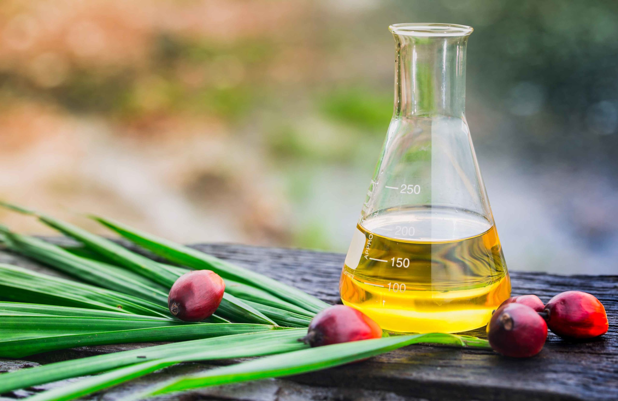 Palm oil