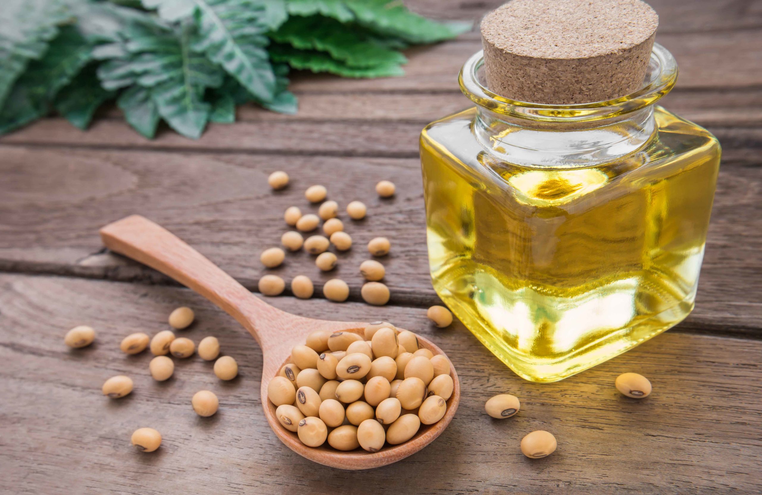 Soybean oil