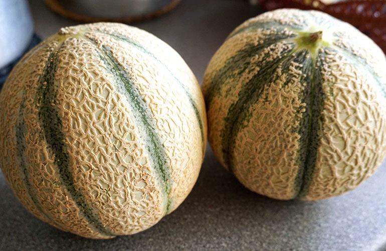 Stock up on rockmelon