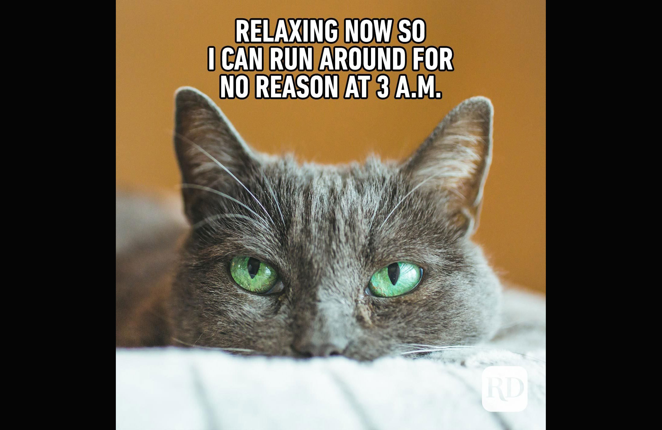 The night shift