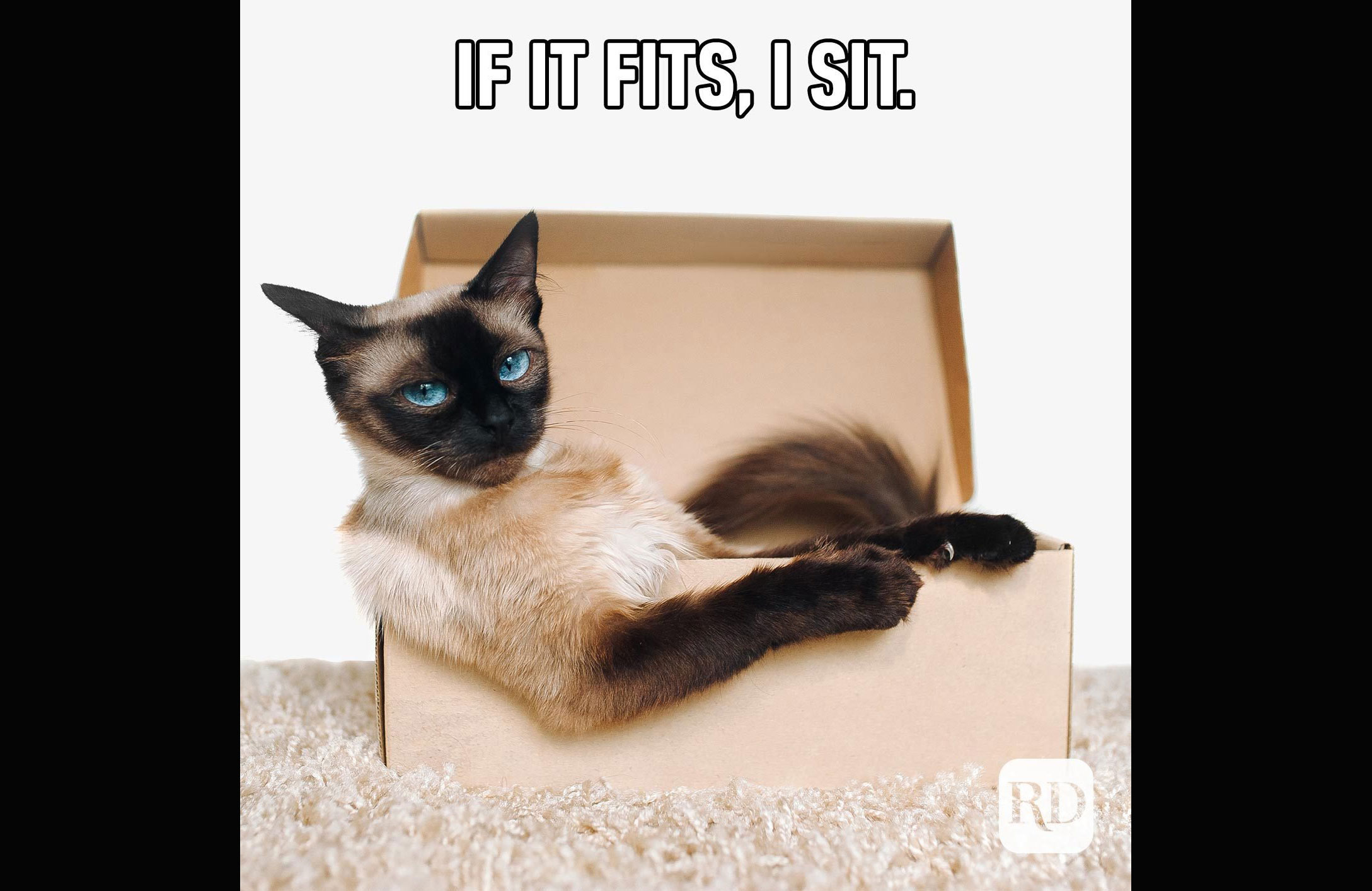 Boxes are my fave