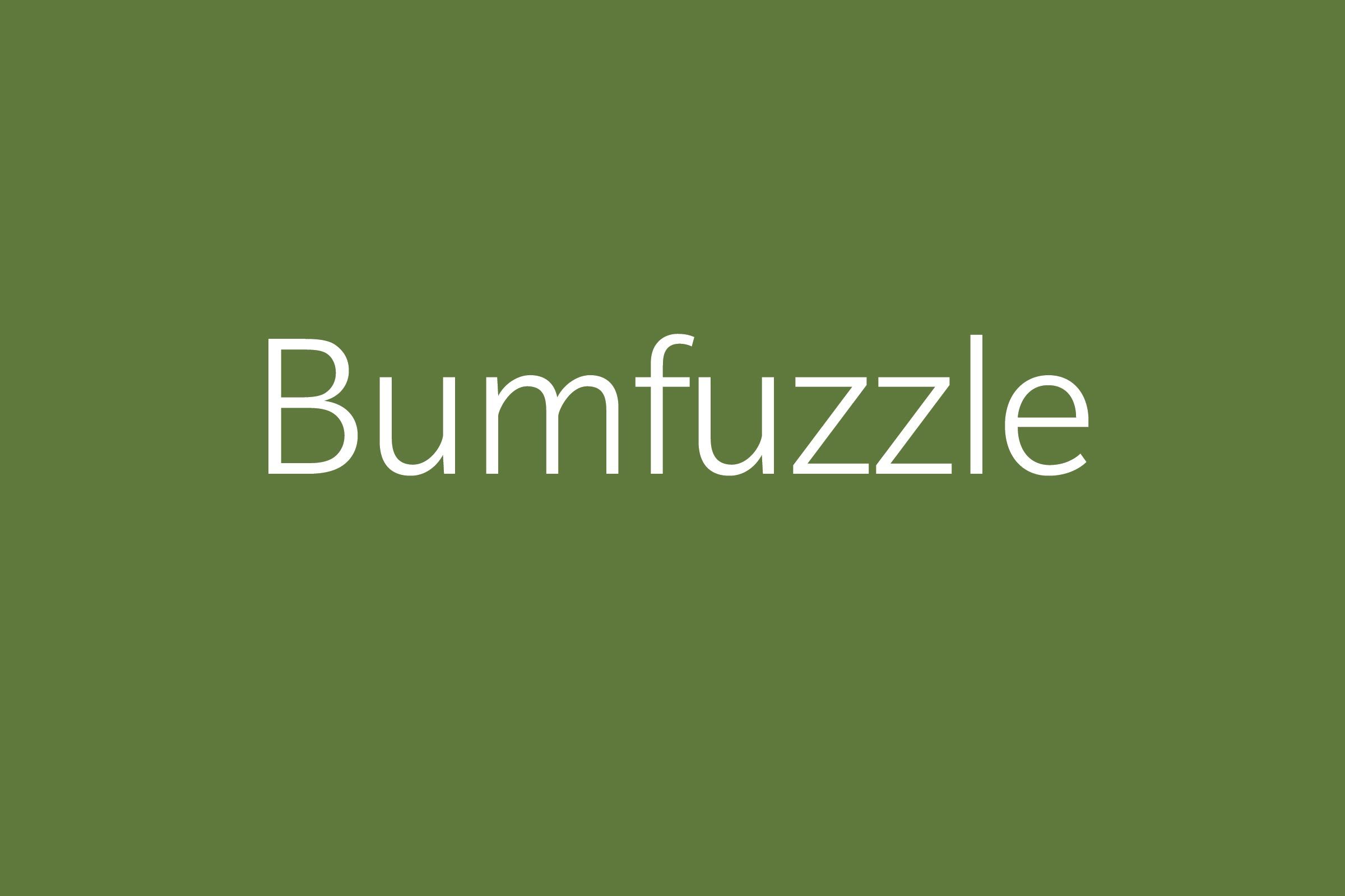 Bumfuzzle
