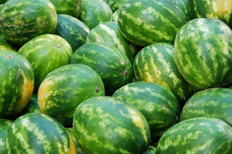 Whole watermelon