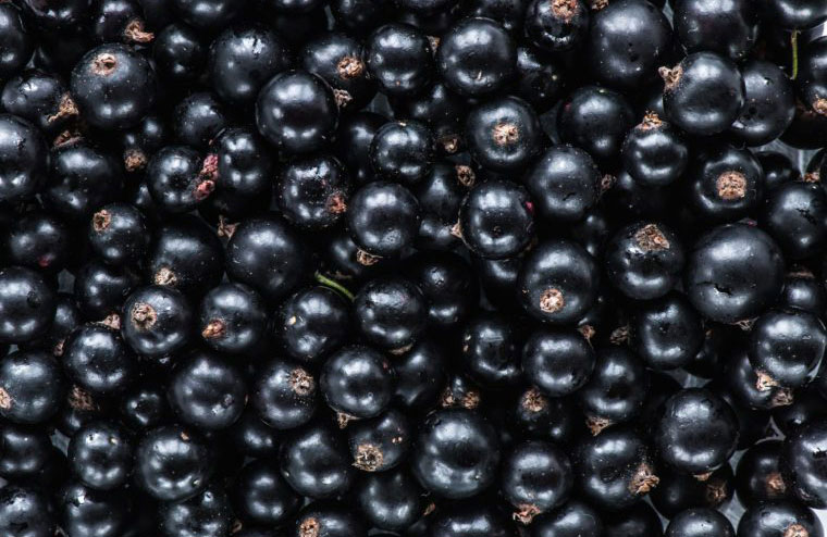 Currants