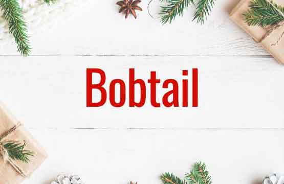 Christmas Word #4: Bobtail