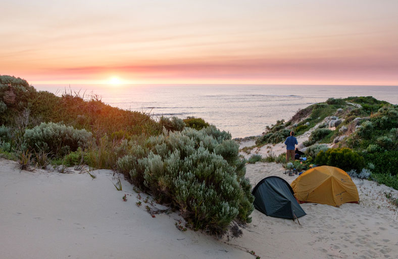Go camping