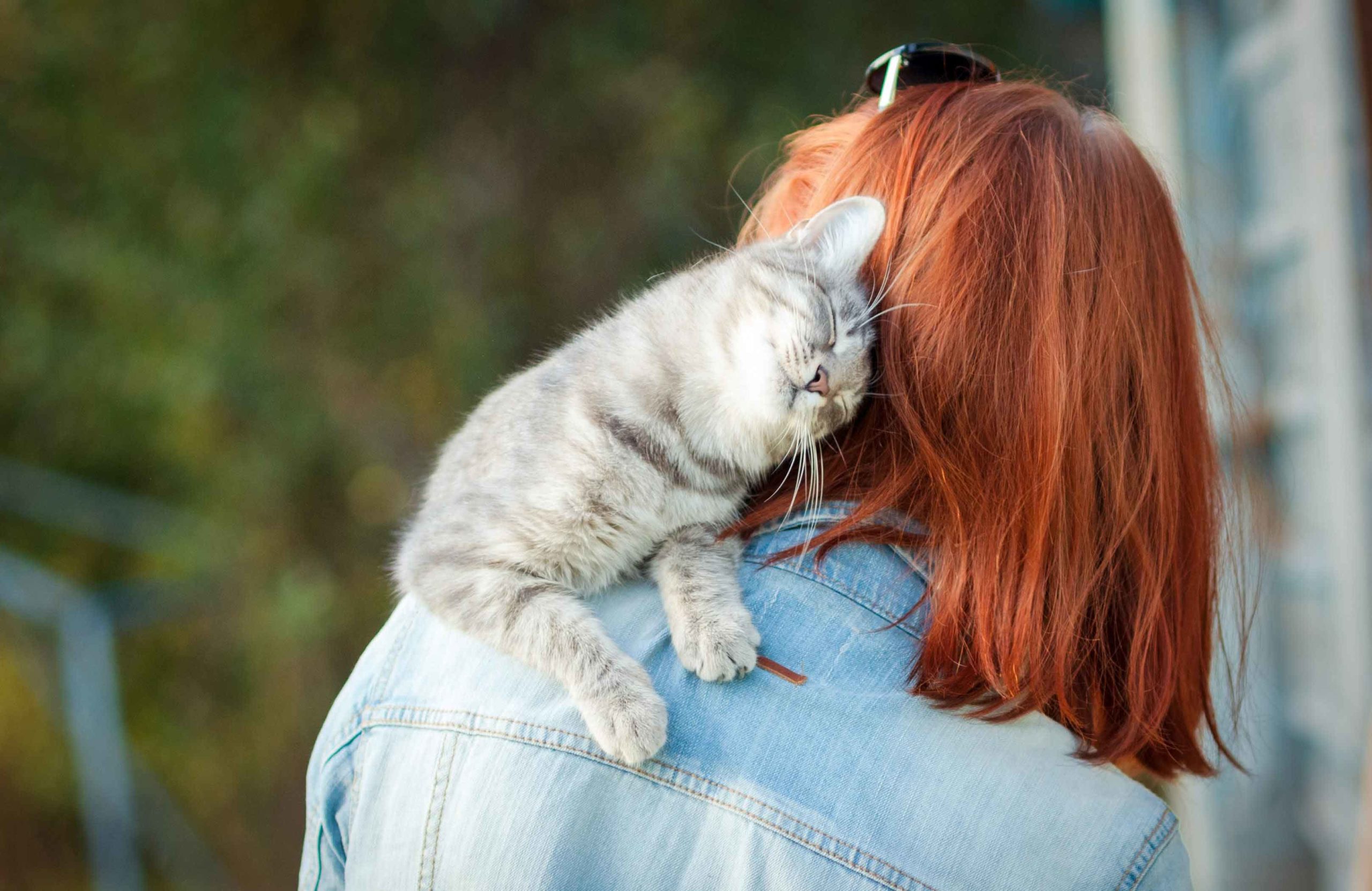 They greet you with meows