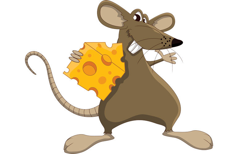 My friend the mouse