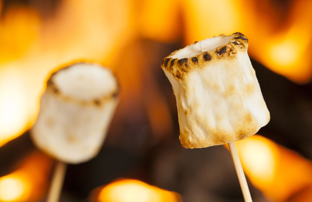 Toast marshmallows over a campfire