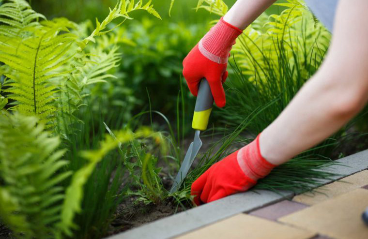 Pull some weeds
