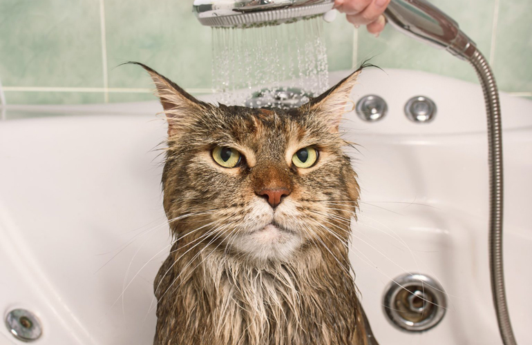 To wash, or not to wash?