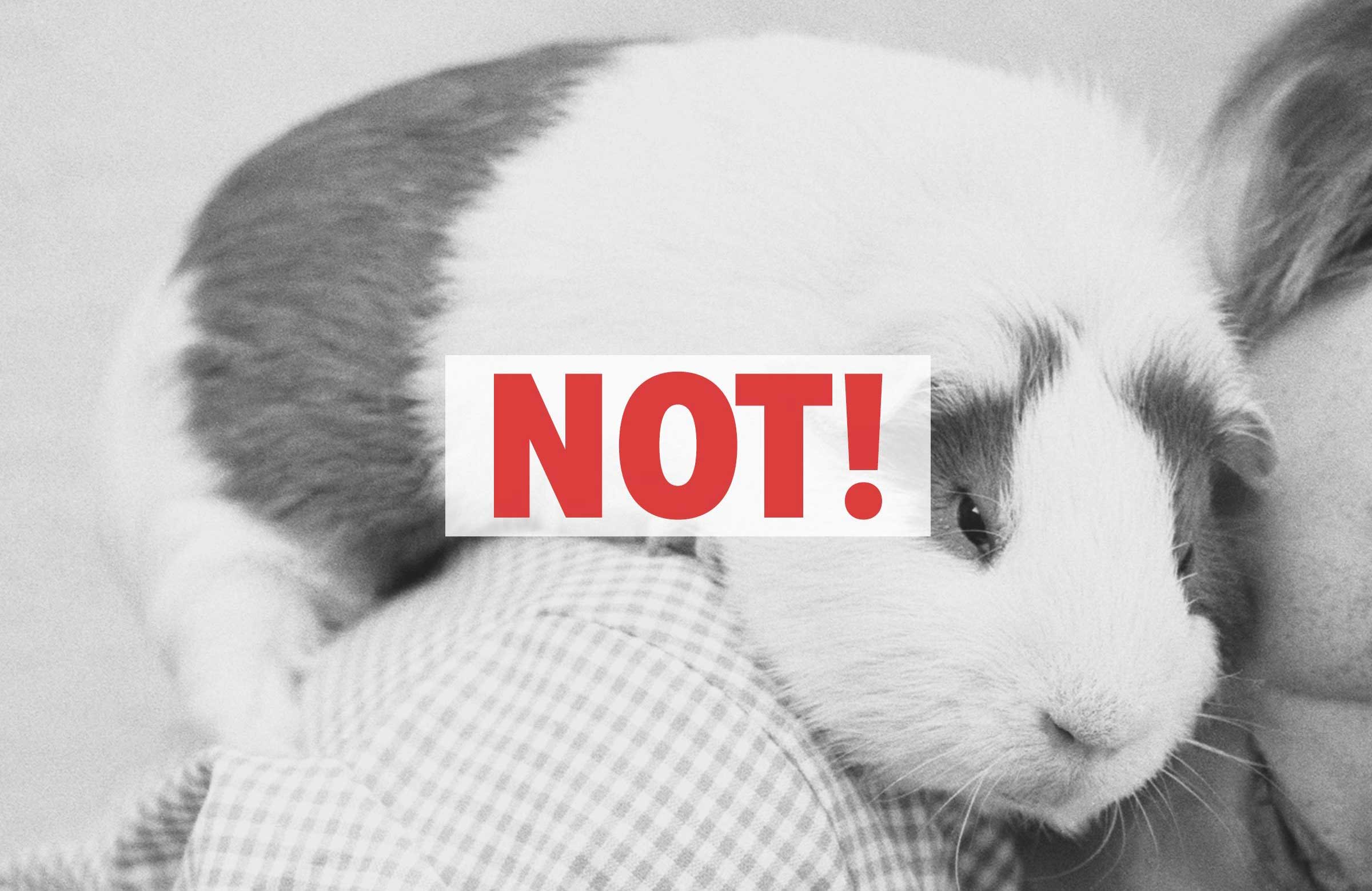 Not!