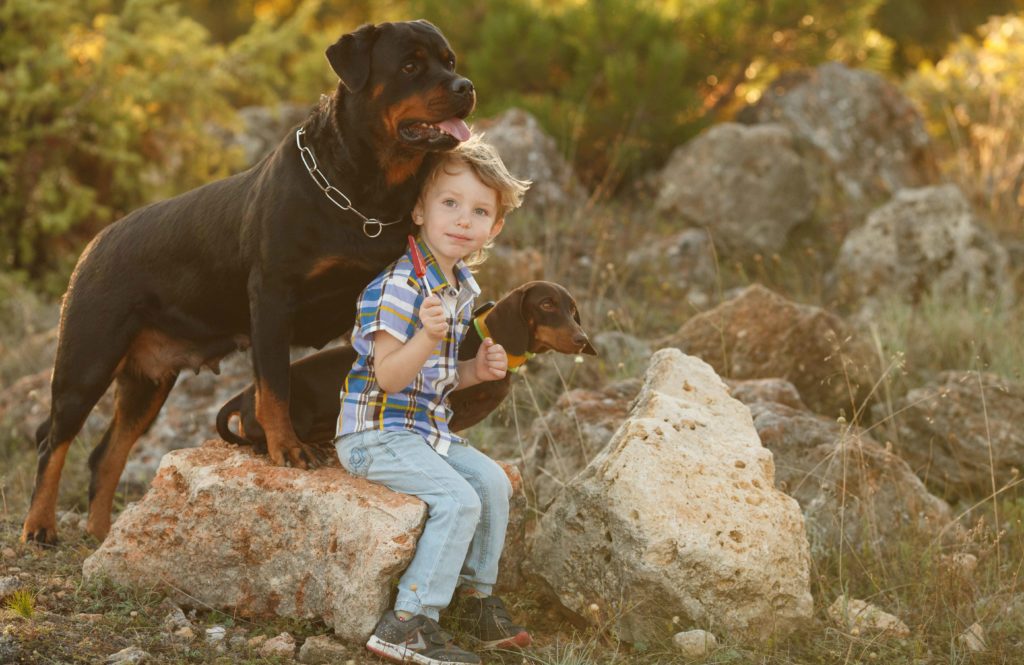 “Never fear, I will guard the little humans!”